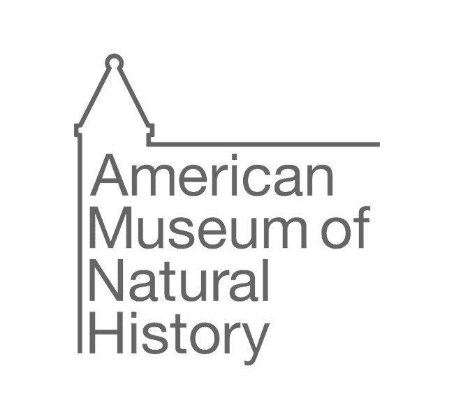 AMNH - Logo